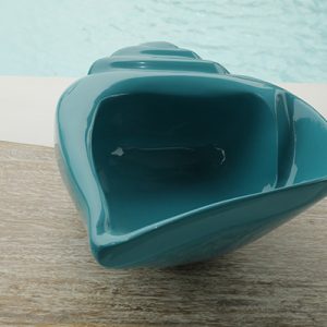 COQUILLAGE BULOT