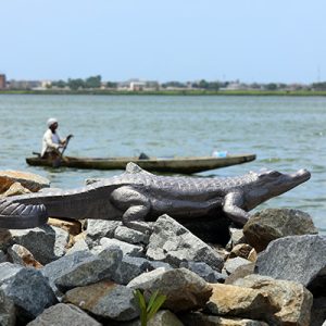 CROCODILE