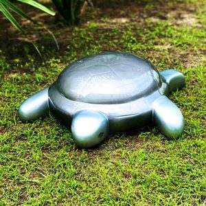 Grosse tortue
