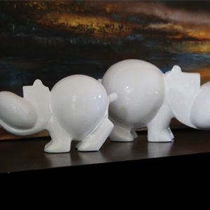 HIPPO DESIGN
