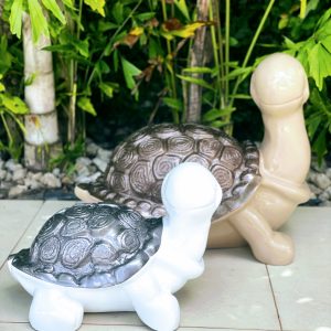 TORTUE ANNA
