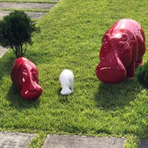 HIPPO DE BOUNA