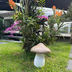 CHAMPIGNON