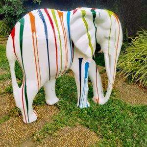 ÉLÉPHANT DE BASSAM CUSTOMISE